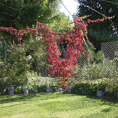 Les Jardins De L'Aulnaie Bed & Breakfast Fontaine-sous-Jouy Exterior foto