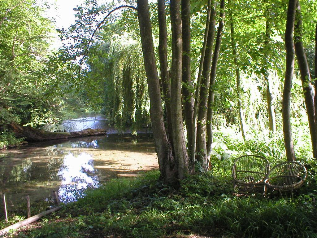 Les Jardins De L'Aulnaie Bed & Breakfast Fontaine-sous-Jouy Exterior foto