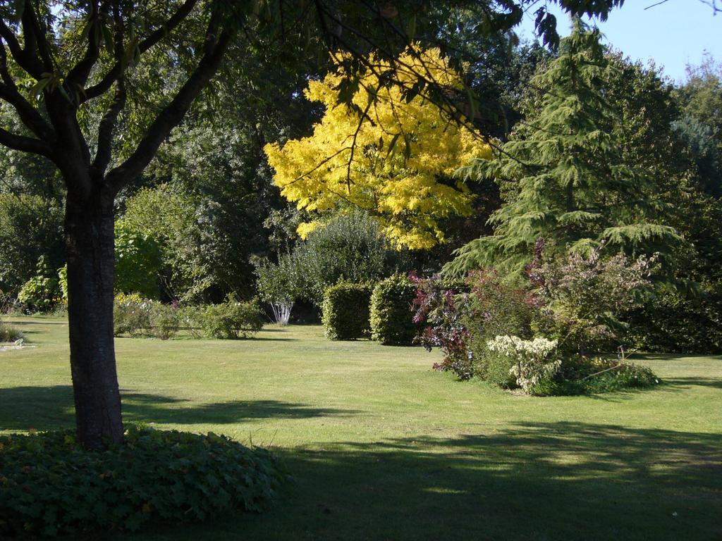 Les Jardins De L'Aulnaie Bed & Breakfast Fontaine-sous-Jouy Exterior foto