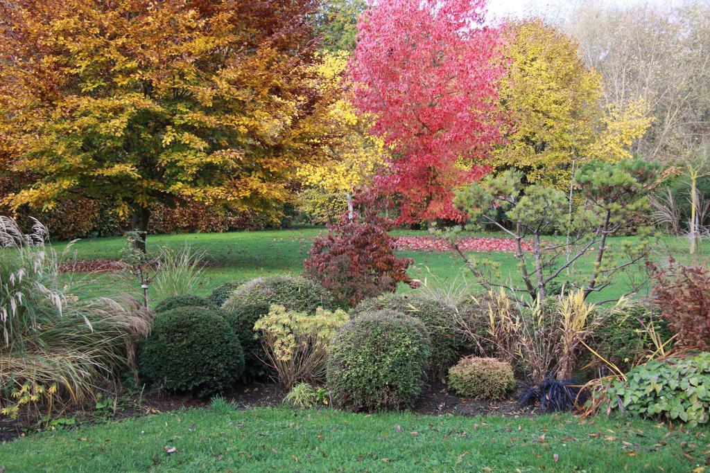 Les Jardins De L'Aulnaie Bed & Breakfast Fontaine-sous-Jouy Exterior foto