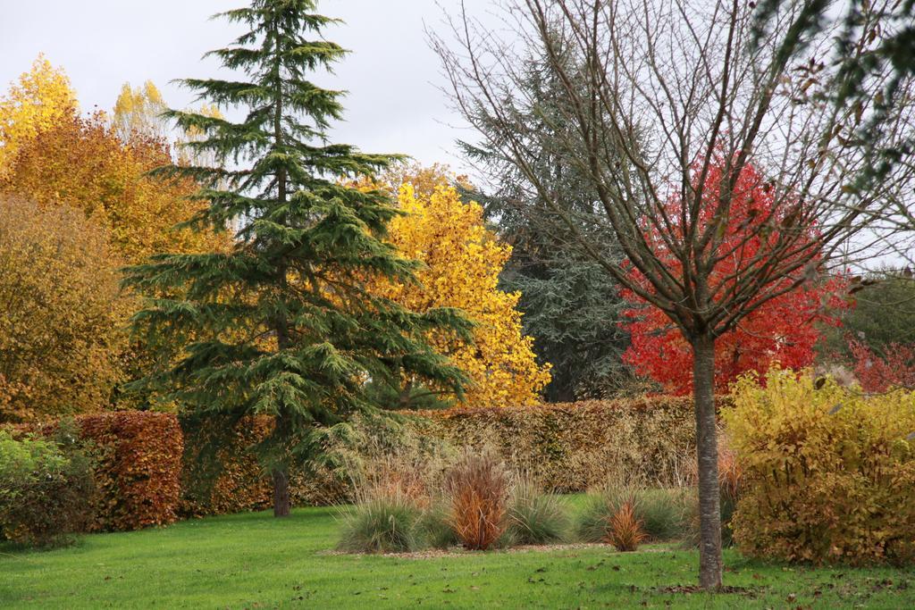 Les Jardins De L'Aulnaie Bed & Breakfast Fontaine-sous-Jouy Exterior foto